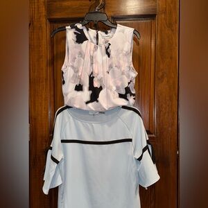 Calvin Klein: Pink Floral and Light Blue Blouse Set
